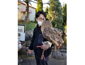 いざもこ