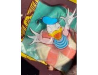 さなえ