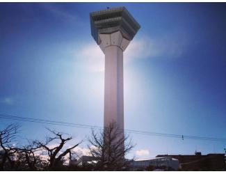 こずえ