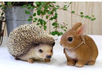 つくし