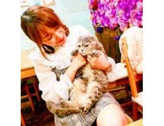 紗々