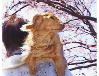 なな