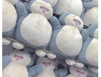 ツグミ