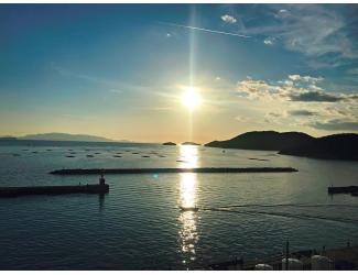 夏海