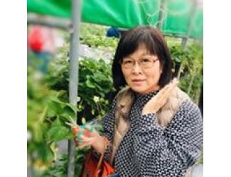 さゆり