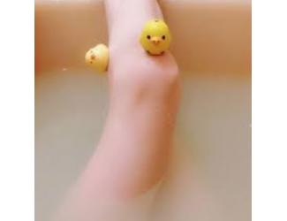 小鳥