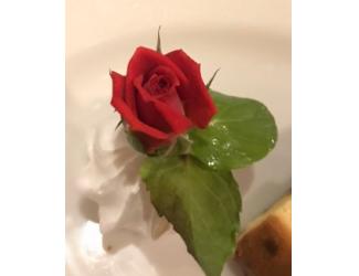 茉莉紗