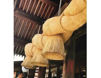 琴葉