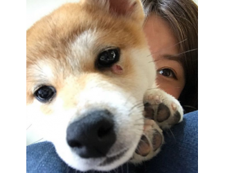 はるな